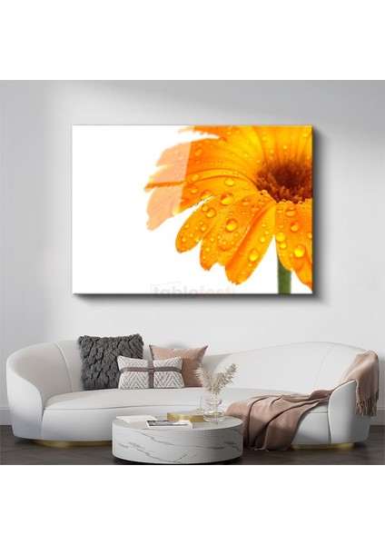 Turuncu Gerbera - Çiy Damlacıklı Detay Cam Tablo
