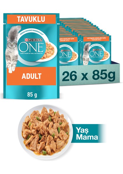 Purına One Adult Tavuk ve Yeşil Fasulyeli Yaş Yetişkin Kedi Maması 26X85G