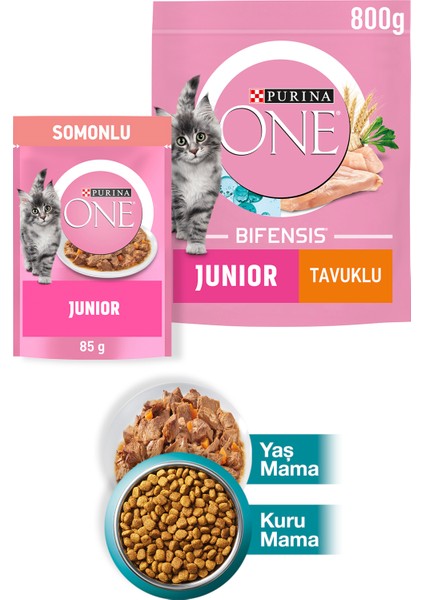 Junior Tavuk Yavru Kedi Maması 800G+JUNIOR Somon Yaş Yavru Kedi Maması 85G
