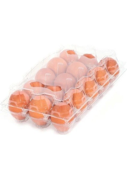 Yumurta Viyolü 15 'li. 100 Adet