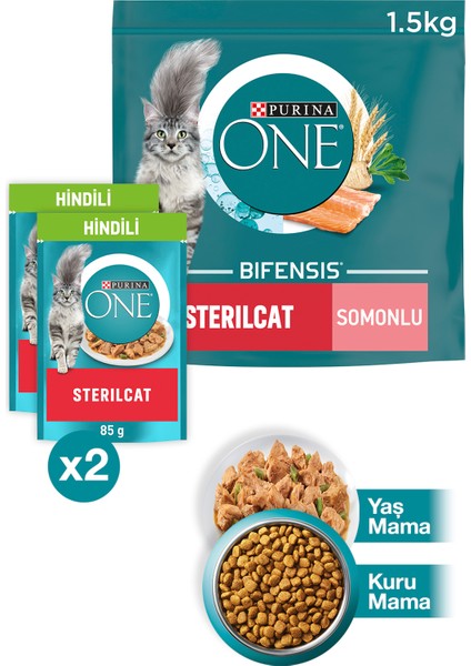 Purına One Sterilcat Somon & Buğdaylı Kısır Kedi Maması 1.5kg + Hindili Yaş Kısır Kedi Maması 2X85G