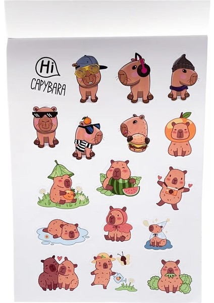 Papağan Karışık Sticker Defter (2 Sayfa Capybara Kapibara ) fırsatları