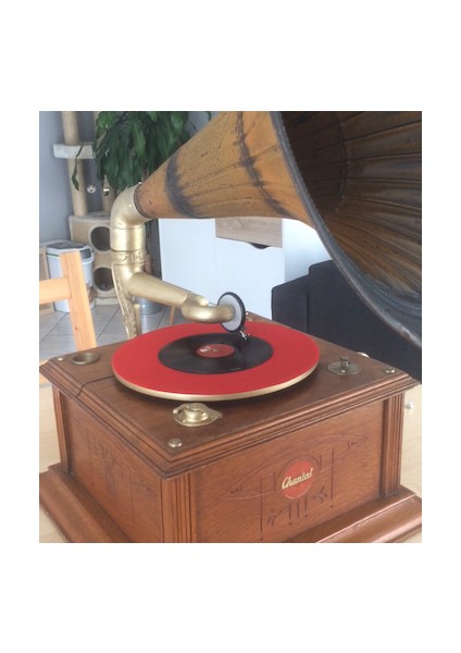 Gramofon Kolu (Sadece Plastik Aparattır) 3D fiyatları