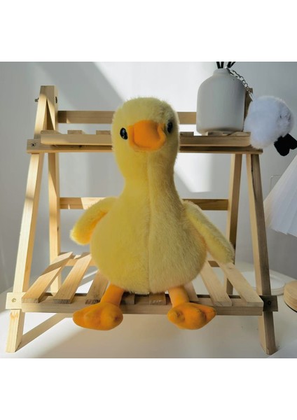 Yeni Sekiz Inç Peluş Oyuncaklar 25CM Kapmak Bebek Sevimli Bebek Doğum Günü Hediyesi Düğün Atmak Bebekler (Yurt Dışından)