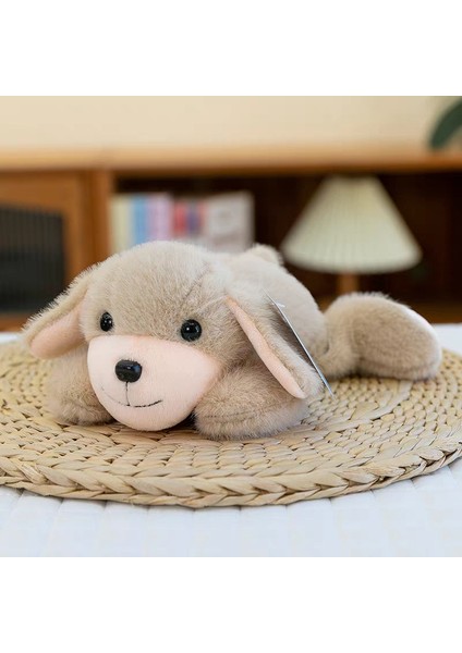 Sevimli Paw Paw Hayvan Serisi Parti Modelleri Peluş Oyuncaklar Sevimli Panda Rakun Bebek Masa Arkadaşı Hediye (Yurt Dışından)