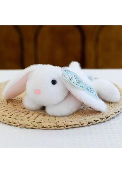 Sevimli Paw Paw Hayvan Serisi Parti Modelleri Peluş Oyuncaklar Sevimli Panda Rakun Bebek Masa Arkadaşı Hediye (Yurt Dışından)