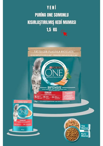 Purına One Sterilcat Somon & Buğdaylı Kısır Kedi Maması 1.5kg + Somonlu Yaş Kısır Kedi Maması 2X85G
