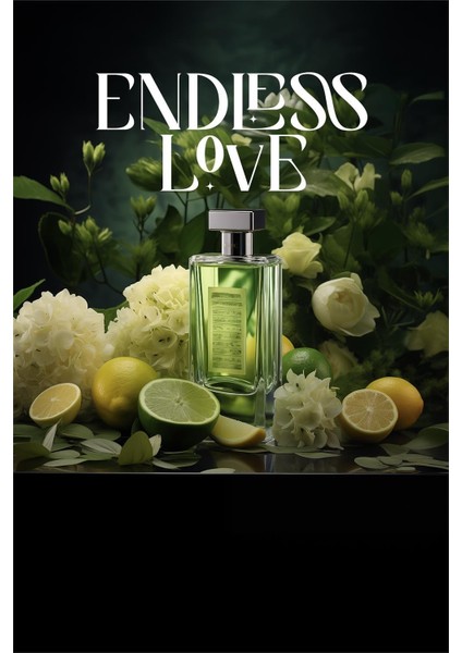 250 ml Koku Kartuşu Endless Love-Auromax modelleri