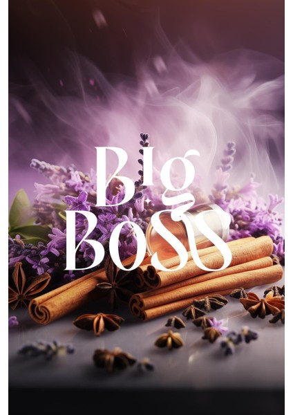 100 ml Koku Kartuşu Big Boss-Maxx Tower fiyatları