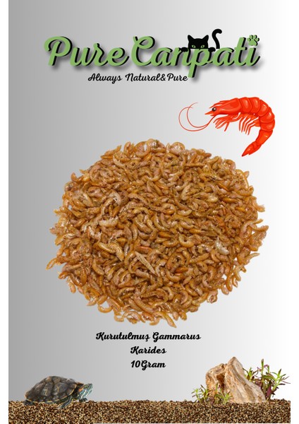Kurutulmuş Gammarus Kaplumbağa Yemi 10 gr fiyatları