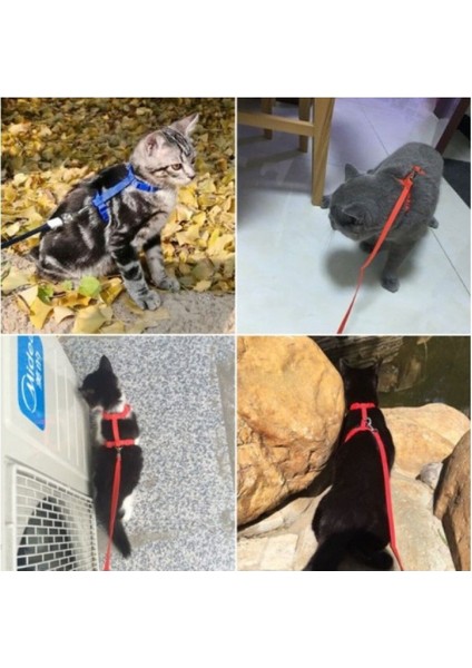 Kedi Boyun ve Göğüs Tasması, Şık ve Rahat Kullanımlı Tasarım, Güvenle Takılır indirimleri