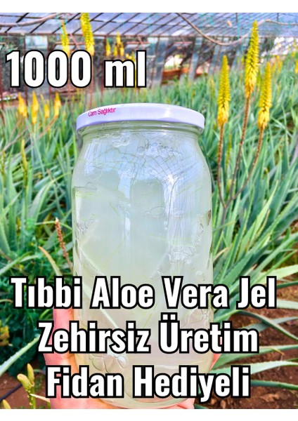 Aloe Vera Jel Doğal 1000 ml Ilaçsız Üretim