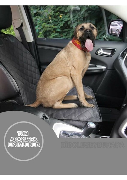 Araba Oto Araç Koltuk Kılıfı Örtüsü Sıvı Su Geçirmez Evcil Hayvan Kedi Köpek Ön Koltuk Örtü (1 Adet) modelleri