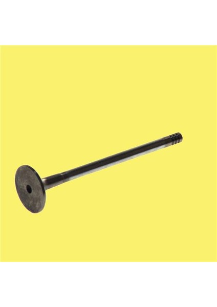 x Subap Emme Egzoz A6 2.5 V6 24V Tdi In-12/ex-12 Dpmah