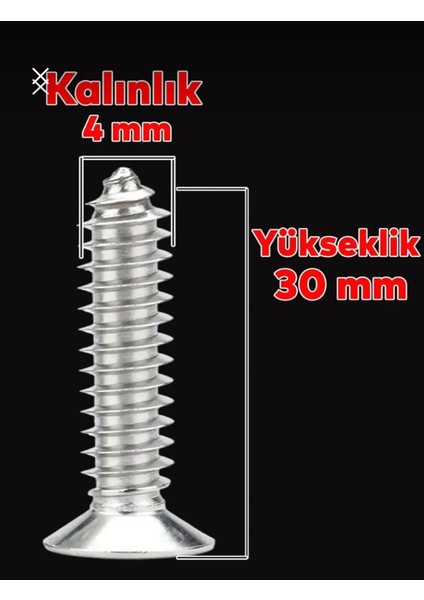 4X30 mm Ahşap Sunta Vidası (500 Adet) fiyatları