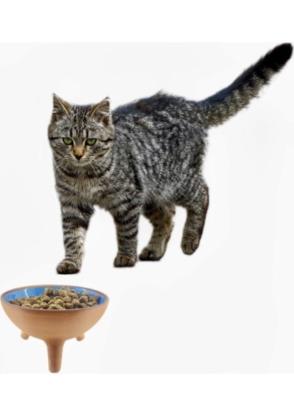 Beyaz Kedi Mama ve Su Kabı, Pratik ve Şık Tasarım fiyatları