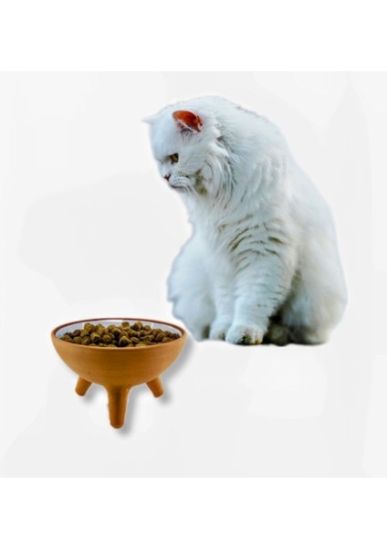 Beyaz Kedi Mama ve Su Kabı, Pratik ve Şık Tasarım modelleri