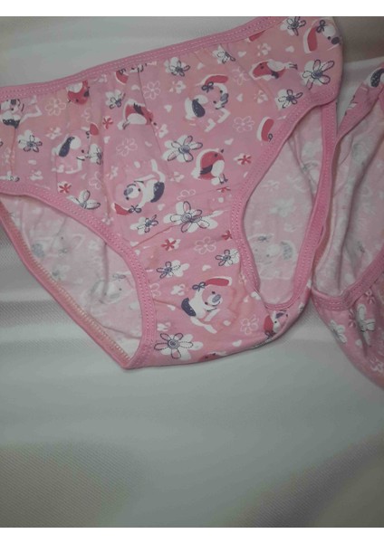 Pembe Desenli Likralı Rahat Kullanışlı Kız Çocuk Külot