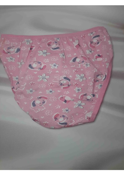 Pembe Desenli Likralı Rahat Kullanışlı Kız Çocuk Külot modelleri