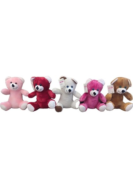 Özel Peluş Ayıcık 25 cm - Ta Olan Gönderilir Fırsat!!!