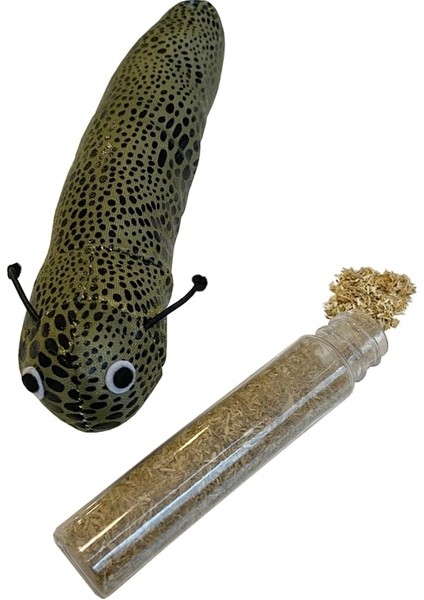 Özel Kedi Oyuncağı Kedi Otlu Benekli Tırtıl 4-17 cm Yeşil Fırsat!!!