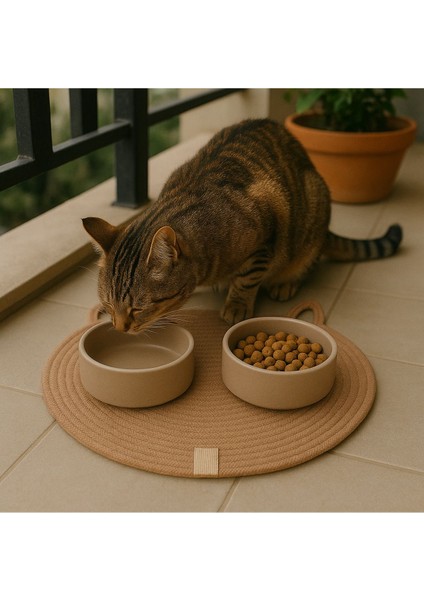 40X40 cm Evcil Hayvan Mama Paspası, Kedi Servis Altlığı, Şık ve Dayanıklı Bej Renk