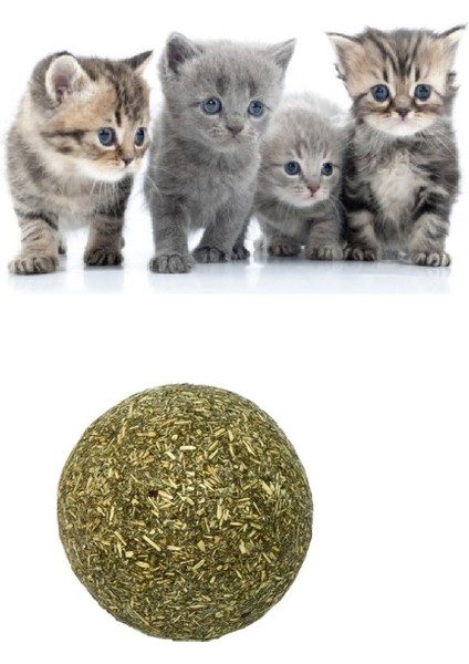 Renkli Kedi Nanesi Topu, Büyük Boy, Eğlence ve Oyun Için Ideal