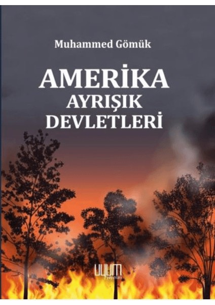 Amerika Ayrışık Devletleri