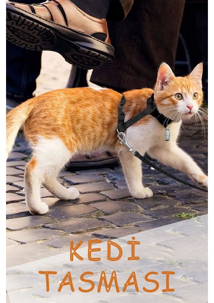 Renkli Ayarlanabilir Yavru Kedi Tasması ve Gezdirme Kayışı Seti
