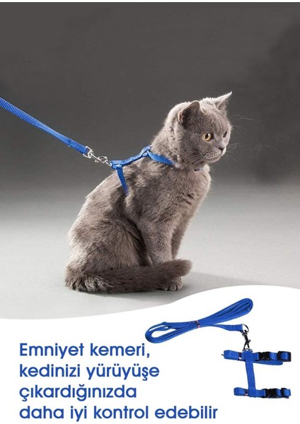 Renkli Ayarlanabilir Yavru Kedi Tasması ve Gezdirme Kayışı Seti modelleri