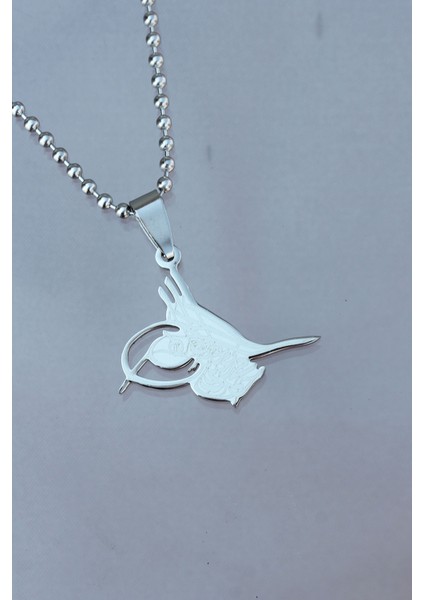 Bakımlı Erkek Için Silver Metal Çelik Tuğra Uçlu Kolye fiyatları