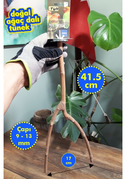 Venty 41.5 cm Doğal Papağan Tüneği - Dal Tünek | Muhabbet, Forpus, Sevda, Cennet, Kakariki - T400