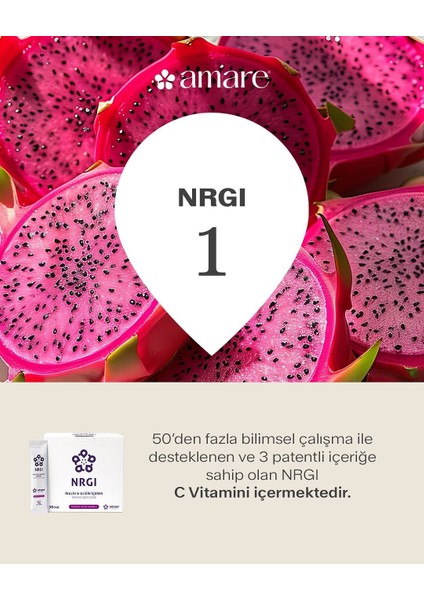 Global Nrgı modelleri