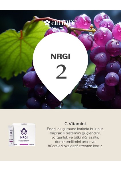 Global Nrgı fırsatları