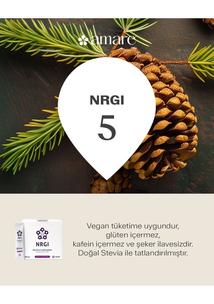 Global Nrgı
