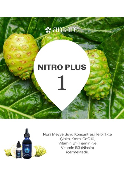 Nitro Plus 56 Ml modelleri