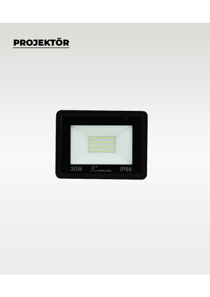 30W Projektör Gün Işığı modelleri