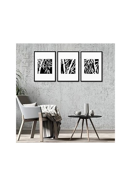 Tabloshop Siyah Beyaz Çerçeveli Set 35 x 45CM (3 Adet)