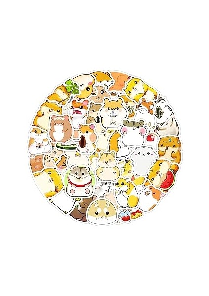 25'li Su Geçirmez Opak Sticker Seri : 16