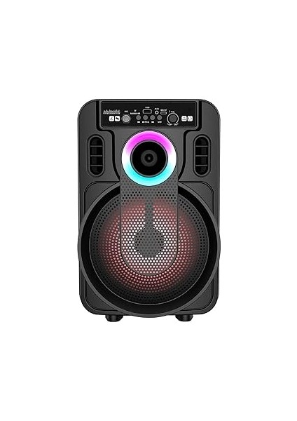 20w 2400 Mah Kablolu Mikrofonlu Bluetooth Hoparlör Bts-420