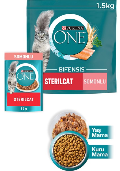 Purına One Sterilcat Somon & Buğdaylı Kısır Kedi Maması 1.5kg + Somonlu Yaş Kısır Kedi Maması 85G