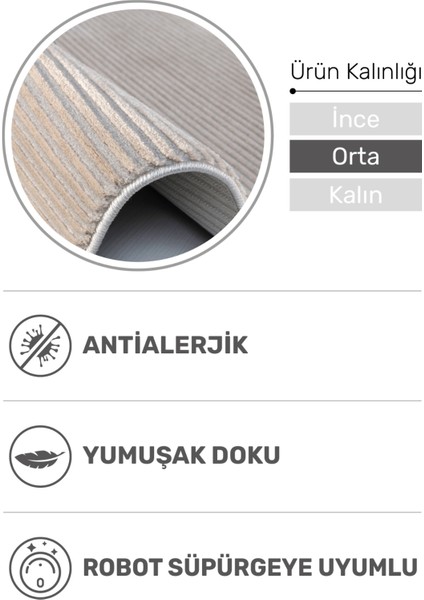 Sedir Bej Halı – 3 ve 4 Metre Enli, Geniş Salonlara Uygun, Tozumaz, Pet Dostu ve Dayanıklı