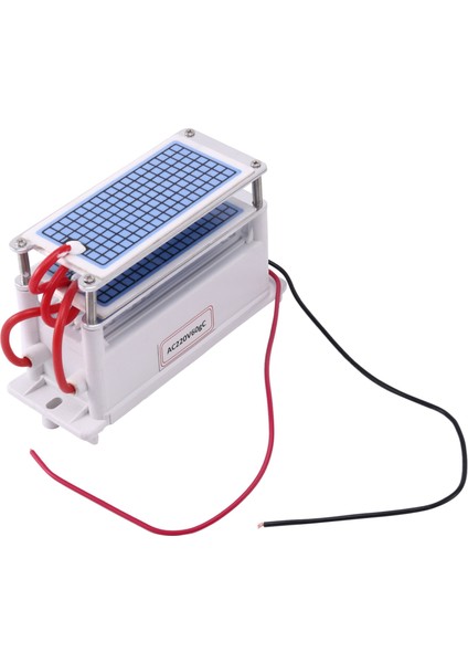 60 G/h Ozon Jeneratörü Hava Temizleyici Ozonizer Arıtma Arıtma Formaldehit Kokuyu Gidermek Ozon Makinesi 220 V (Yurt Dışından)