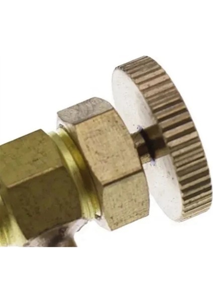 6598102 Bobcat 743 751 753 763 773 S175 S185 S205 T180 Için Yakıt Tahliye Vanası (Yurt Dışından) fiyatları