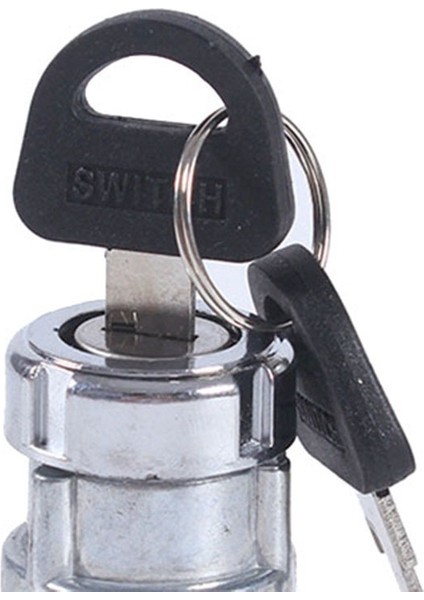 Evrensel Araba Tekne 12V 4 Pozisyonlu Kontak Marş Anahtarı 2 Anahtarlı Benzinli Motorlu Çiftlik Makineleri Harvester'lar Için (Yurt Dışından) indirimleri