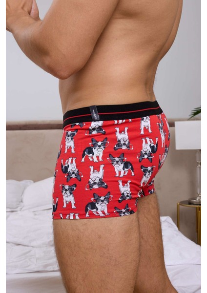 Köpek Desenli Dijital Baskılı Erkek Boxer fiyatları