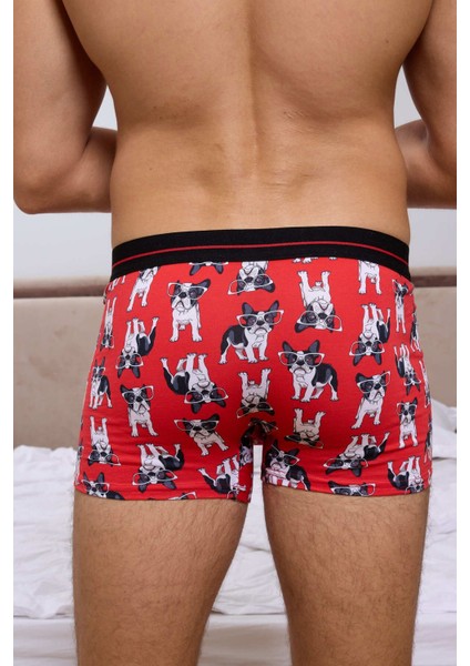 Köpek Desenli Dijital Baskılı Erkek Boxer modelleri
