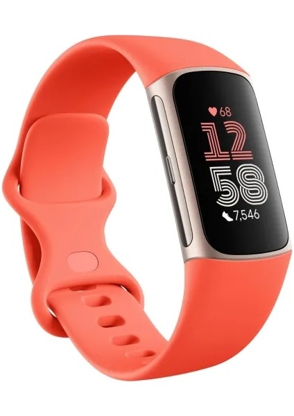 Charge 6 Fitness Akıllı Bileklik