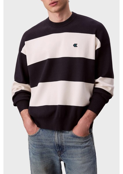 Çizgili Relaxed Fit Bisiklet Yaka Kazak LV04RC304GCHW Erkek Kazak LV04RC304G Chw