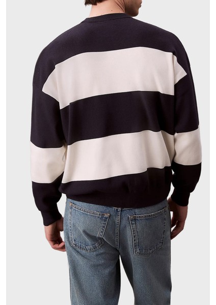 Çizgili Relaxed Fit Bisiklet Yaka Kazak LV04RC304GCHW Erkek Kazak LV04RC304G Chw modelleri